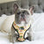 Reversible Dog Harness - Taco Fiesta (SECONDS - FINAL SALE)