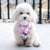 Cooling Dog Bandana - Rosa (Blue Paw Co. - FINAL SALE)