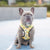 Reversible Dog Harness - Avocado Toast (BPC - SECONDS - FINAL SALE)