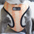 Reversible Dog Harness - Taco Fiesta (SECONDS - FINAL SALE)