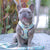 Adjustable Dog Harness - Thanks A Brunch (Blue Paw Co. - FINAL SALE)
