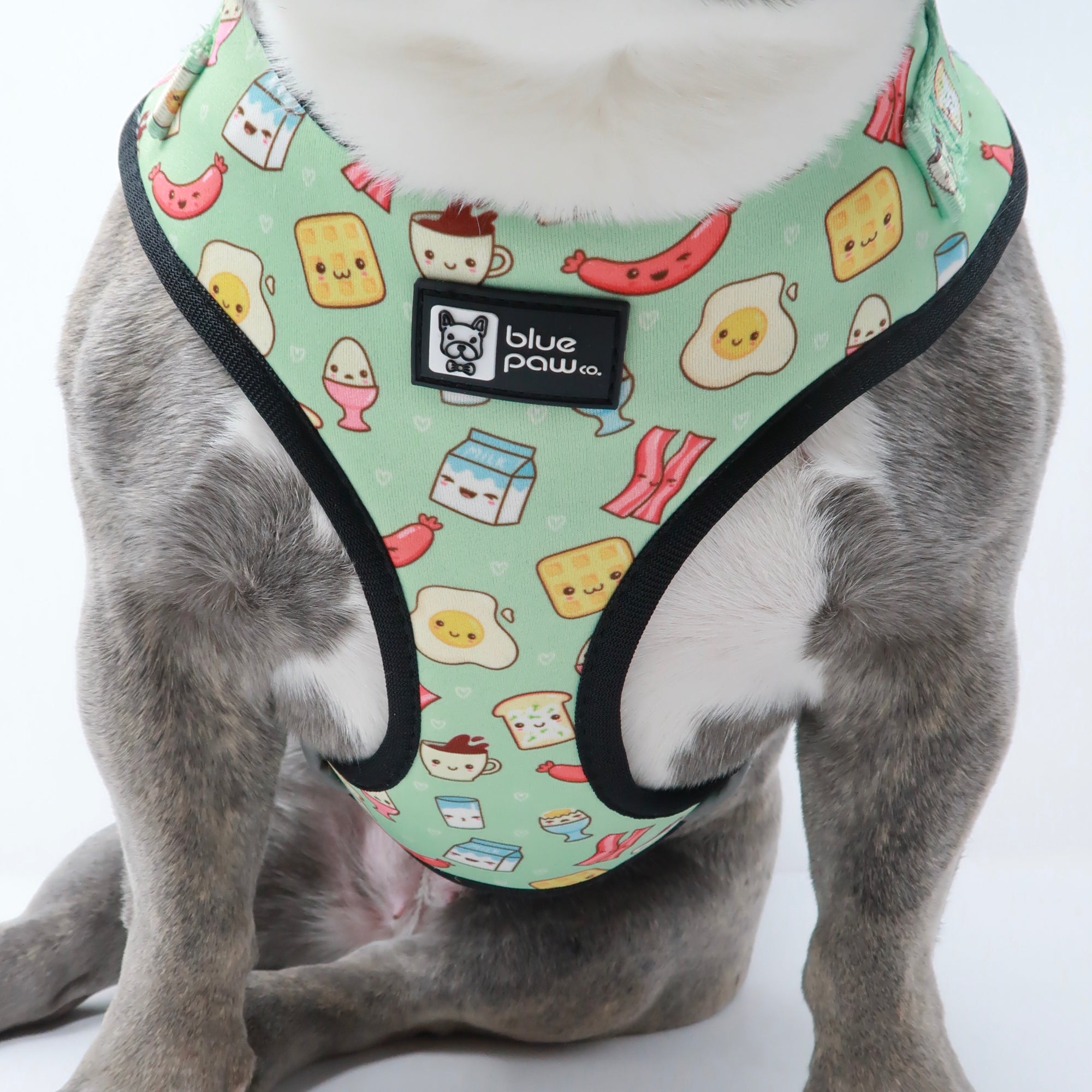 Adjustable Dog Harness - Thanks A Brunch (Blue Paw Co. - FINAL SALE)