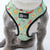 Adjustable Dog Harness - Thanks A Brunch (Blue Paw Co. - FINAL SALE)