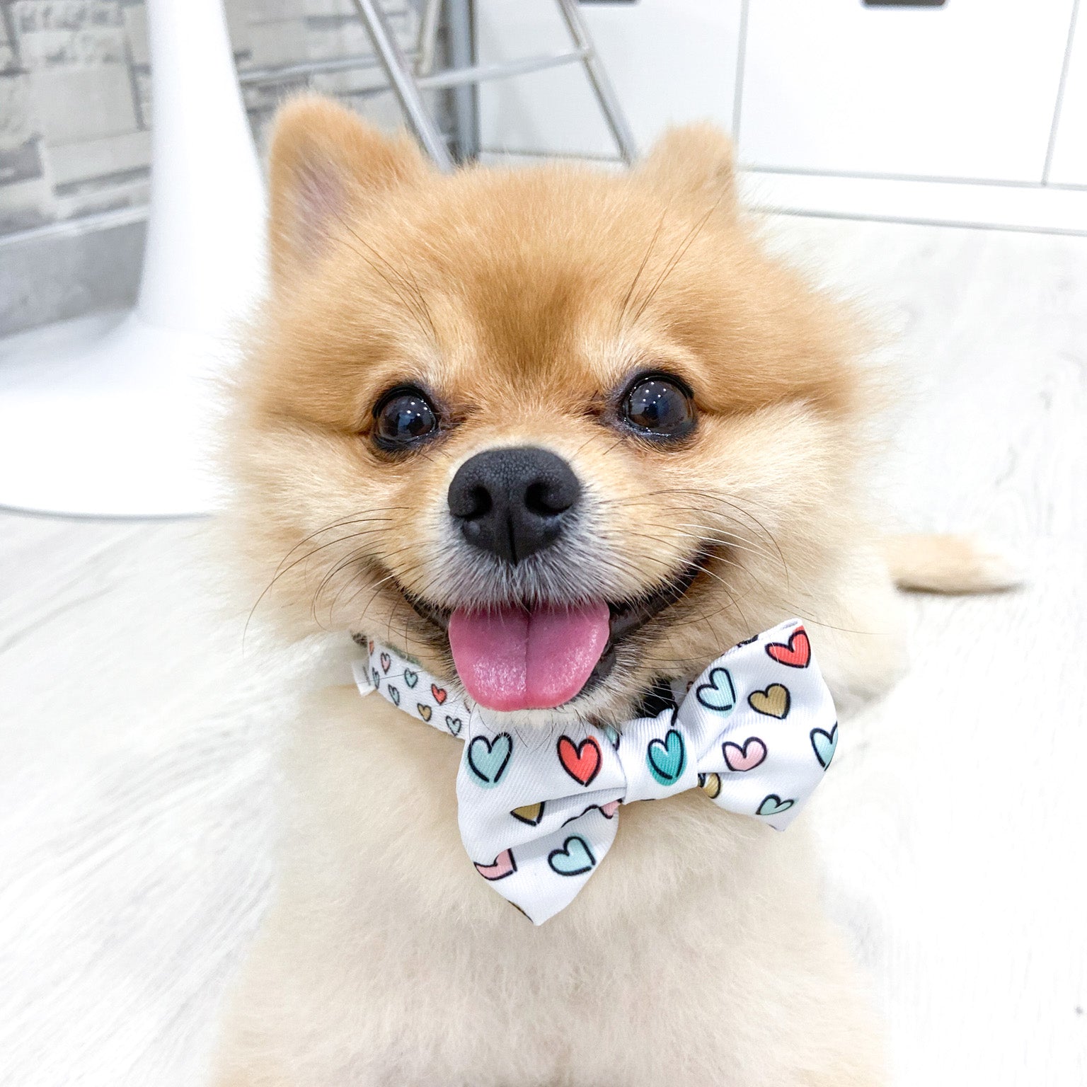 Dog Bow Tie - Feel The Love