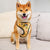 Reversible Dog Harness - Avocado Toast (BPC - SECONDS - FINAL SALE)