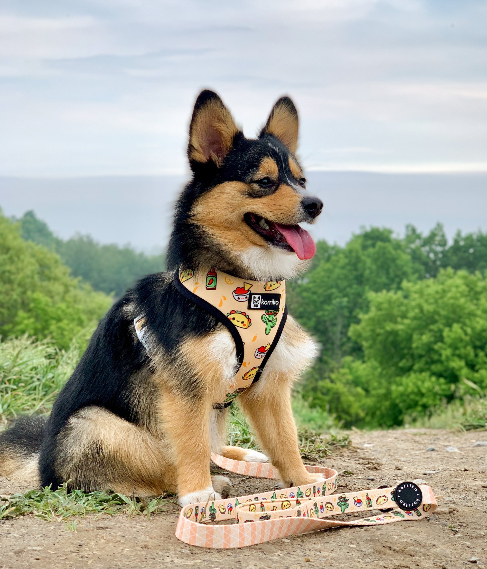 Reversible Dog Harness - Taco Fiesta (SECONDS - FINAL SALE)