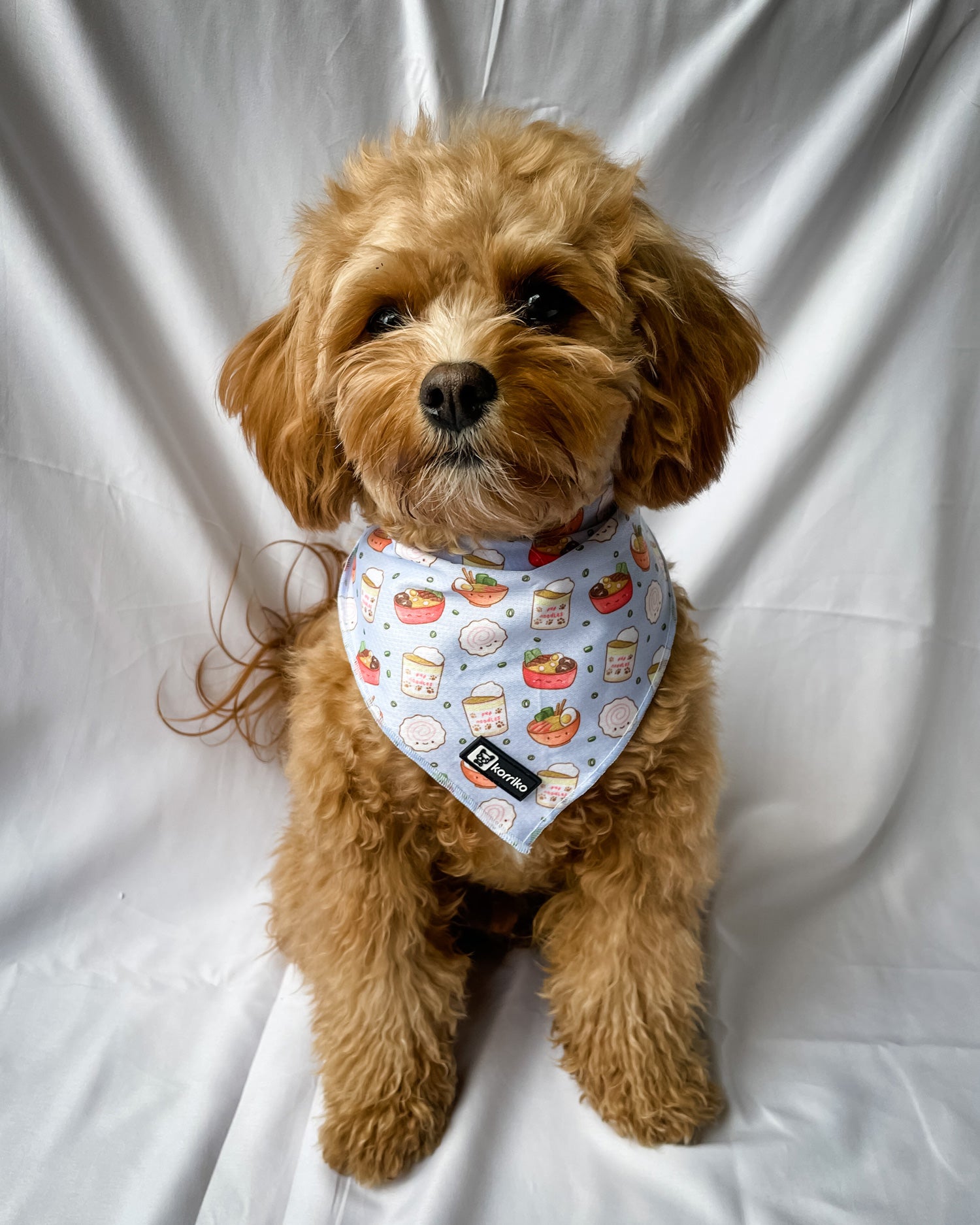 Cooling Dog Bandana - Ramen