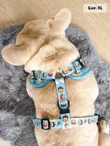 Adjustable Dog Harness - Honeybee (SECONDS - FINAL SALE)