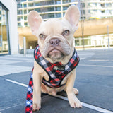 Adjustable Dog Harness - Red Plaid (SECONDS - FINAL SALE)