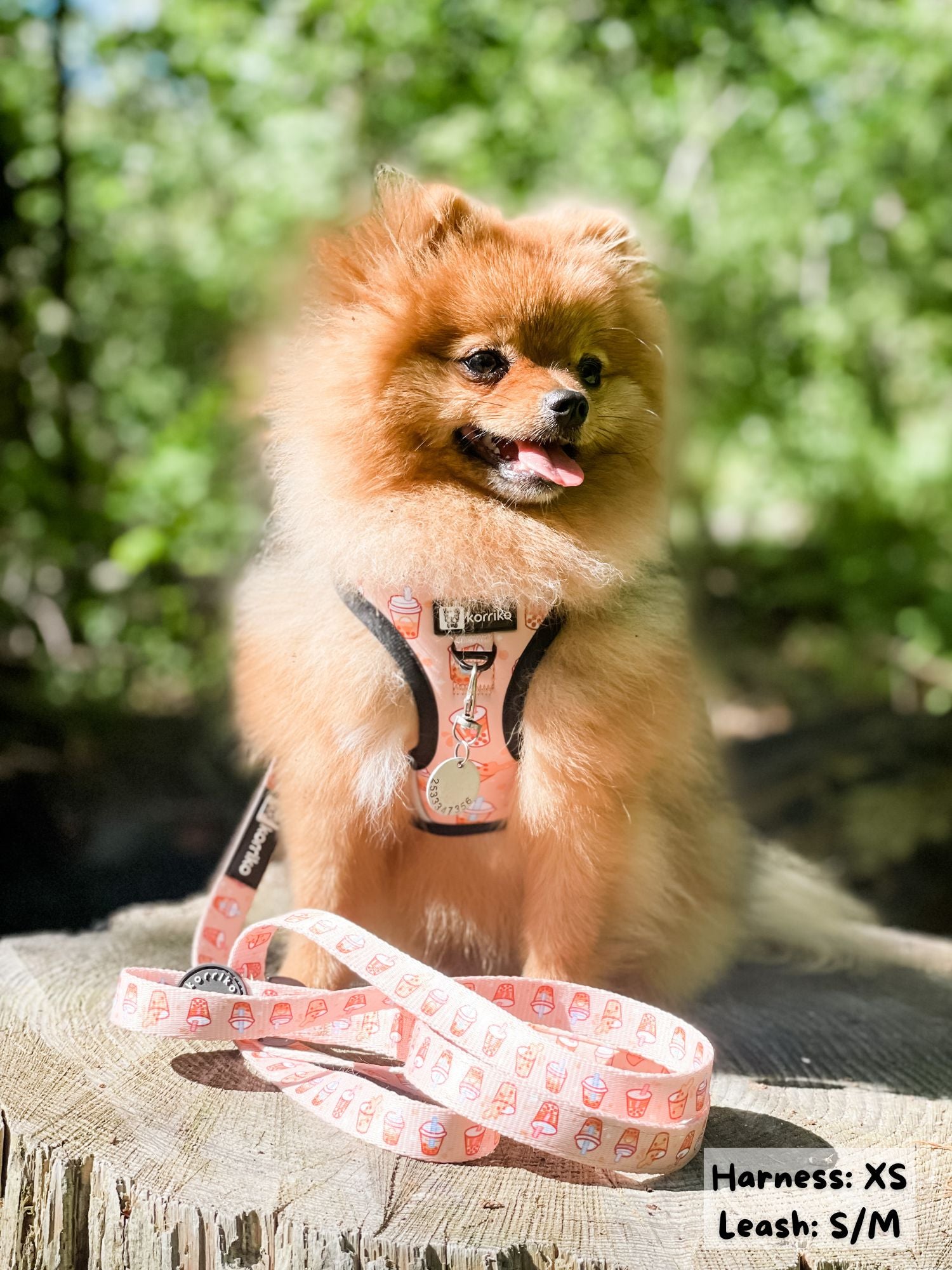 Adjustable Dog Harness - Milk Tea