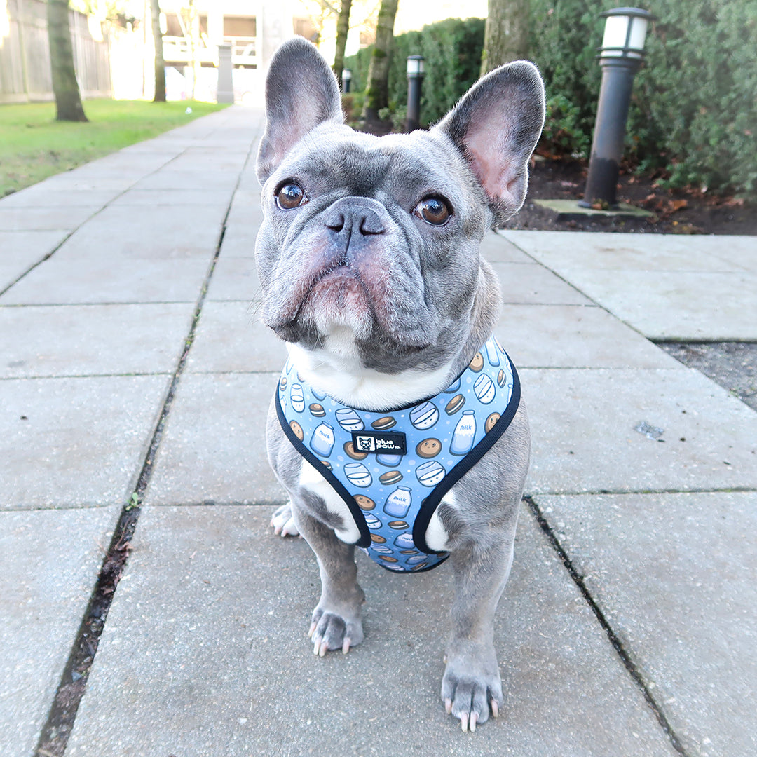 Reversible Dog Harness - Milky Way - Blue Paw Co.