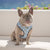 Reversible Dog Harness - Milky Way - Blue Paw Co.