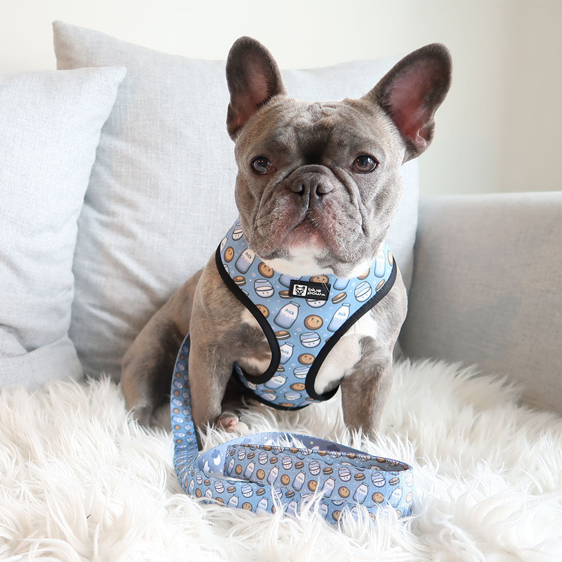 Reversible Dog Harness - Milky Way - Blue Paw Co.