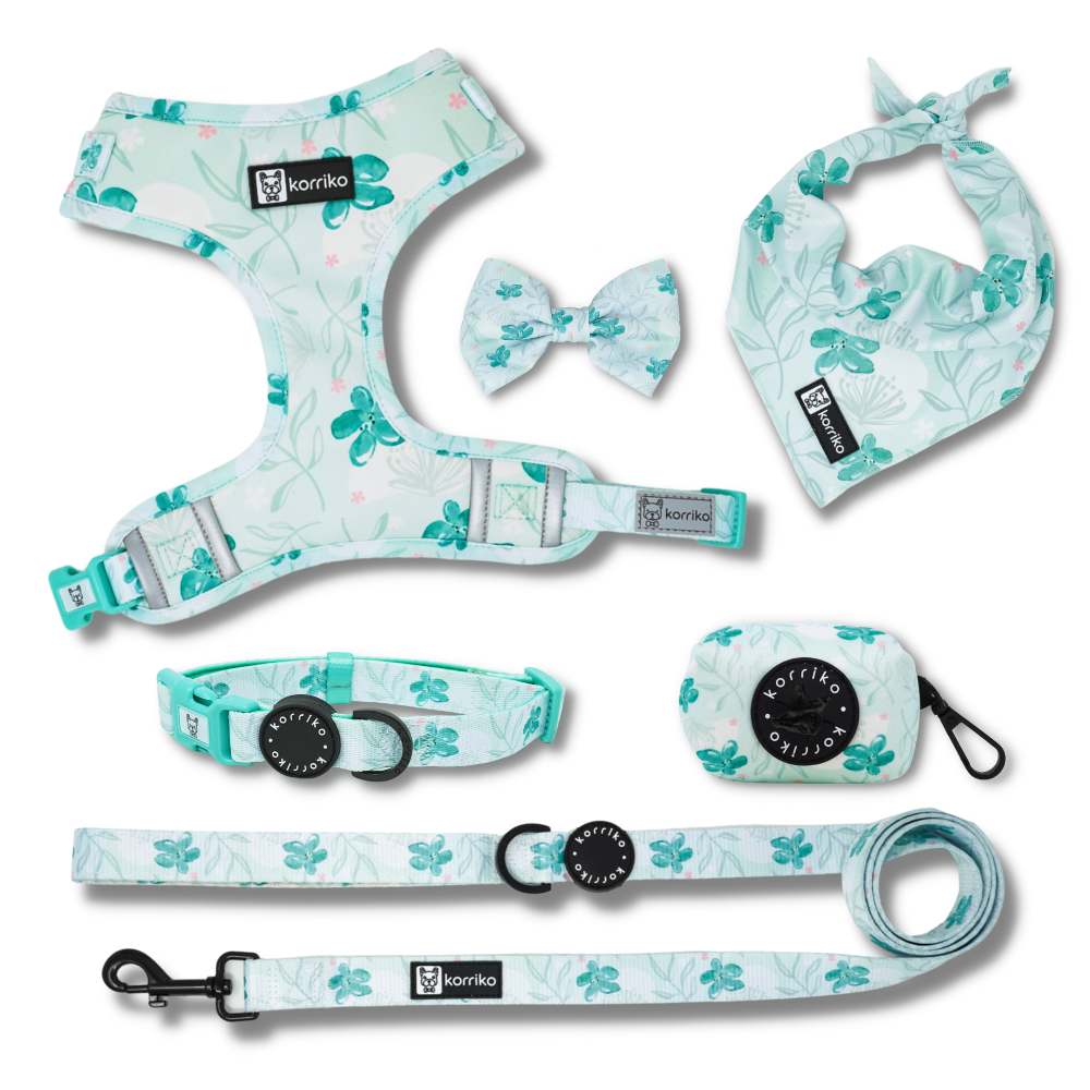 Harness Bundle Set - Mint Sakura (Final Sale)