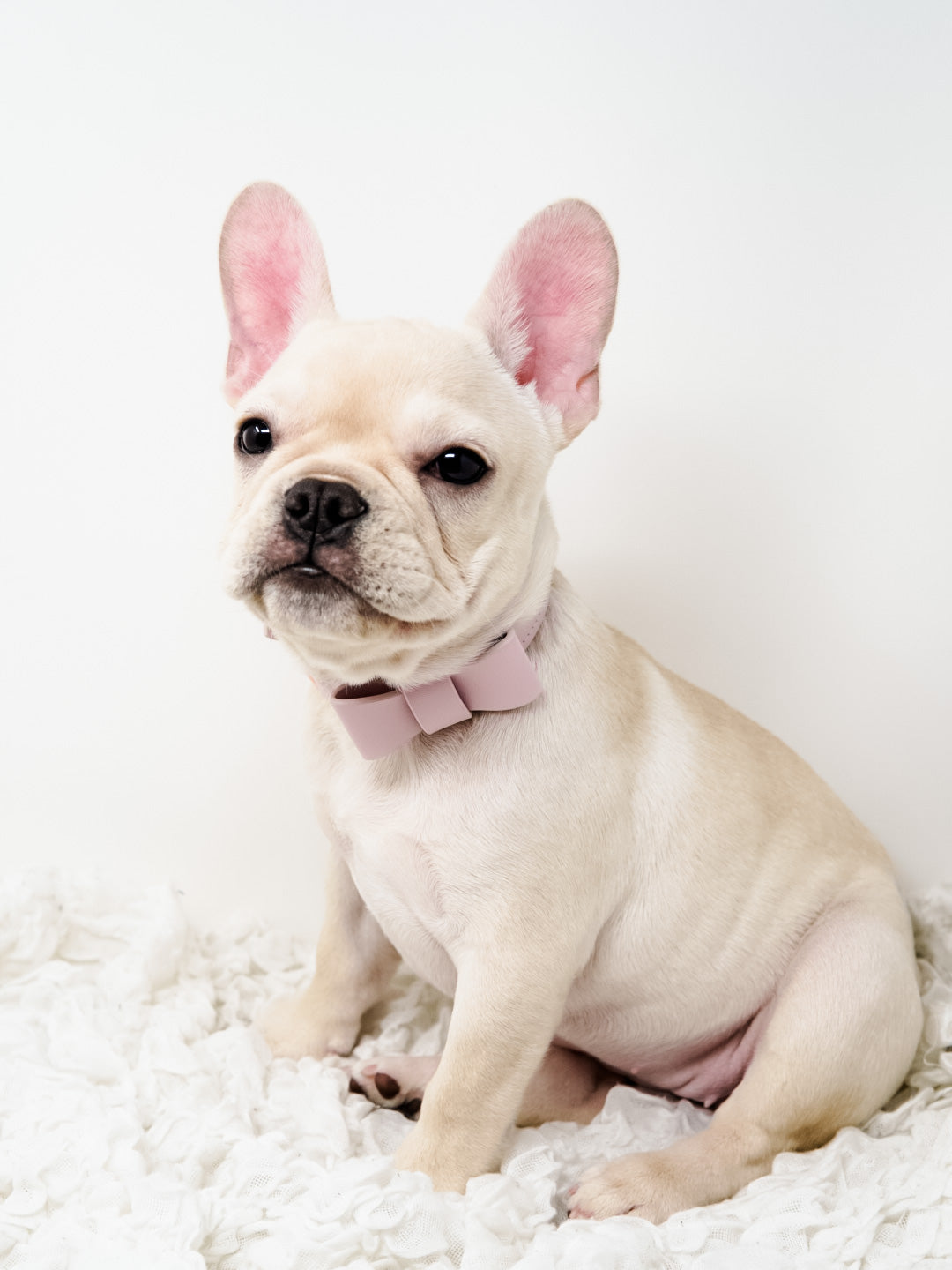 Signature Collar & Leash Set - Blush Pink (Final Sale)