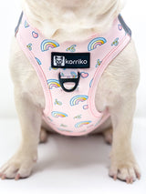 Essential Step-In Harness Walk Set - Over The Rainbow (3-Piece)