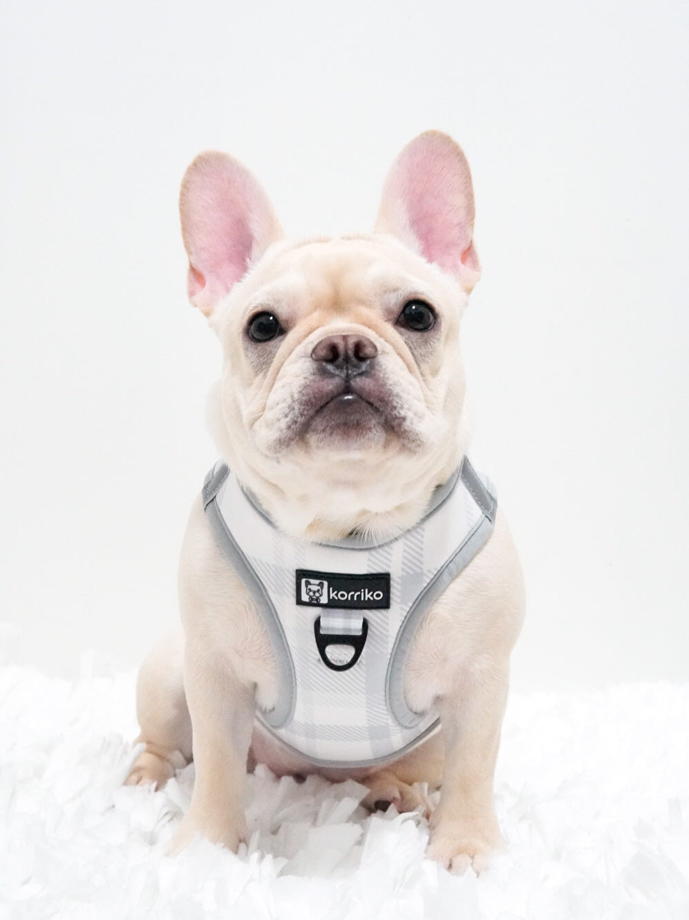 Step-In Dog Harness - Park City Plaid (Final Sale)