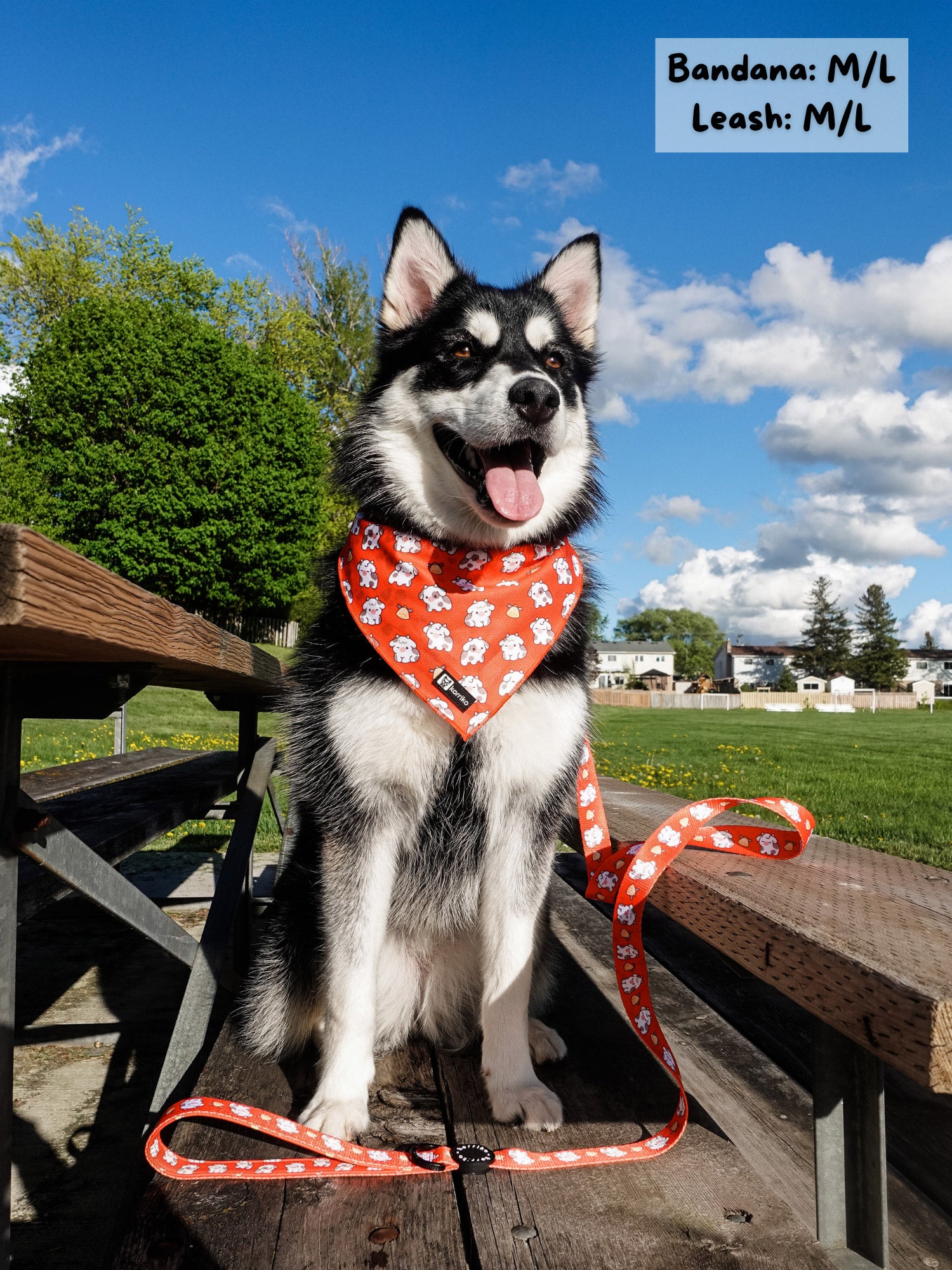 Dog Leash - Moo Moo