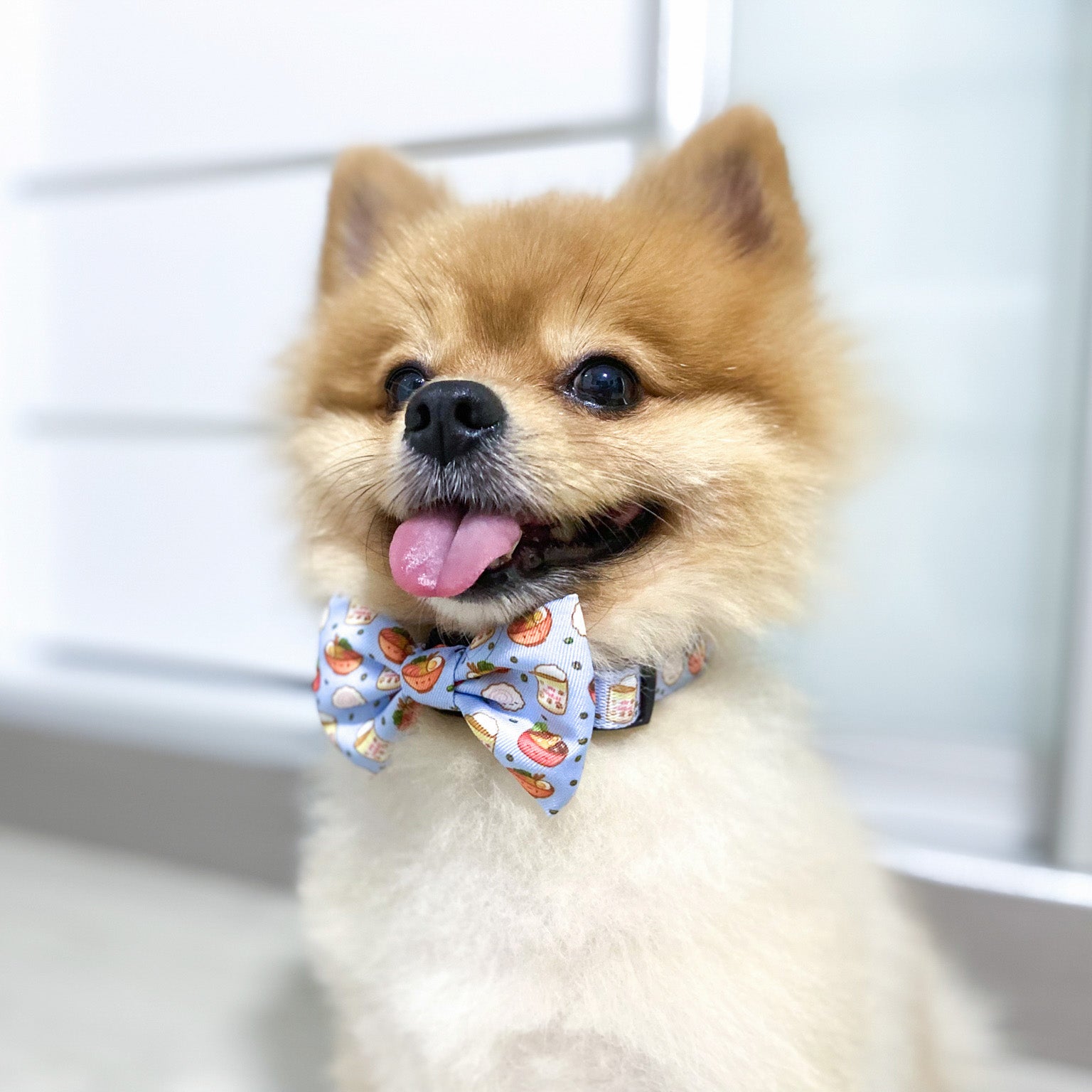 Dog Collar - Ramen (Final Sale)