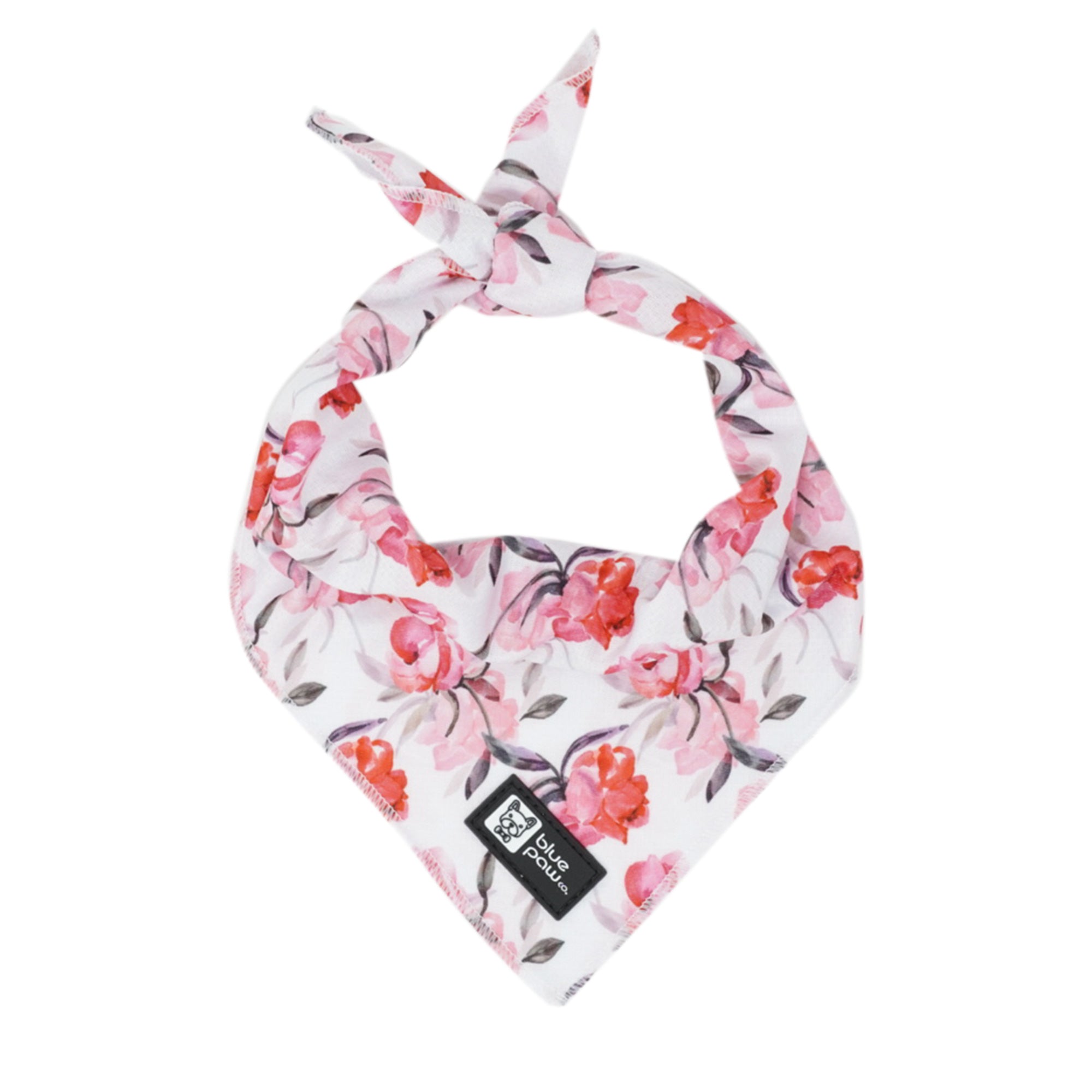 Cooling Dog Bandana - Rosa (Blue Paw Co. - FINAL SALE)