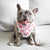 Cooling Dog Bandana - Rosa (Blue Paw Co. - FINAL SALE)