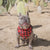 Dog Bandana - Ruffalo Plaid - Blue Paw Co.