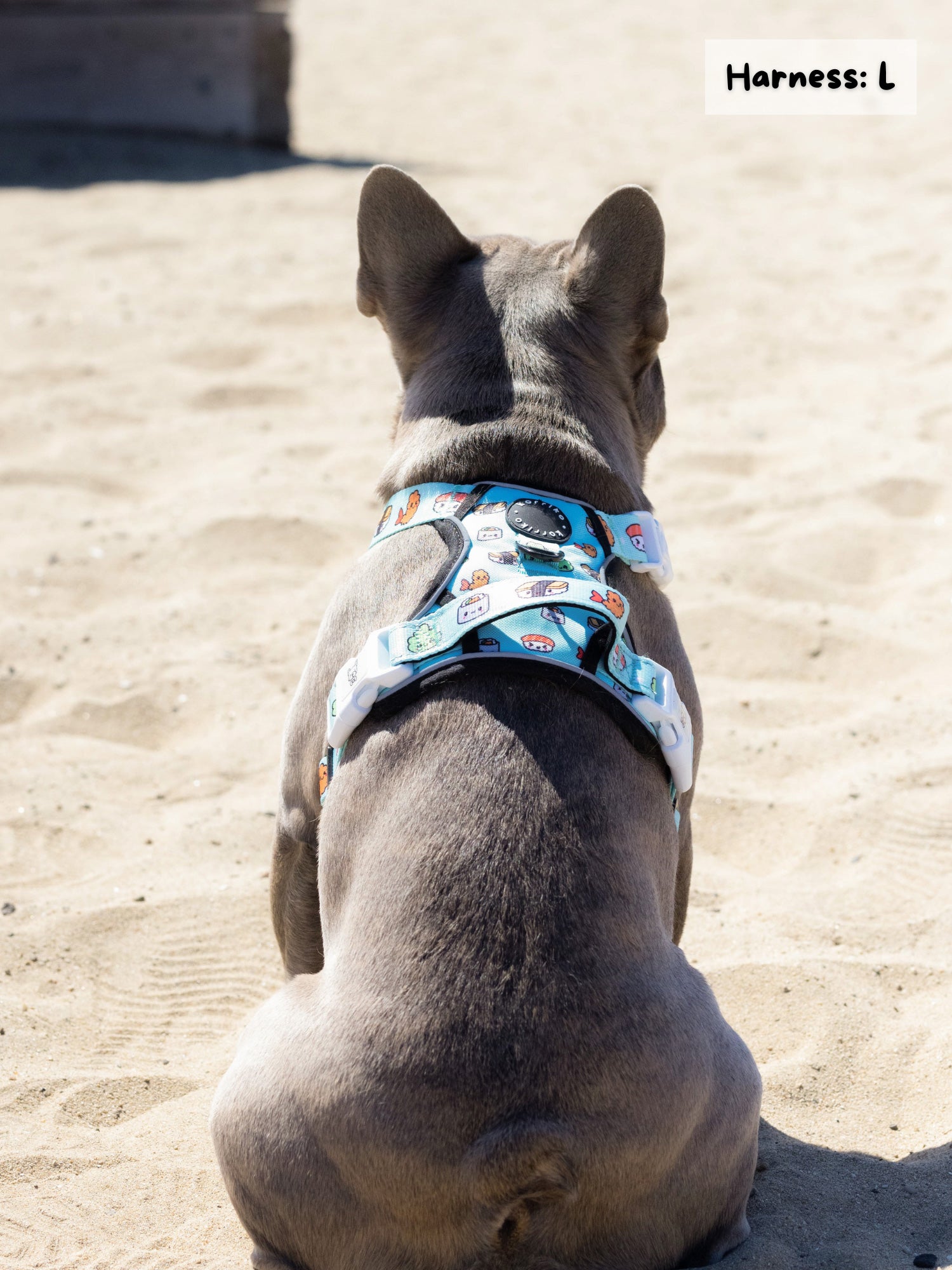 Exploration No-Pull Dog Harness - Sushi