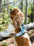 Exploration No-Pull Dog Harness - Sushi