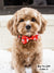 Dog Bow Tie - Moo Moo