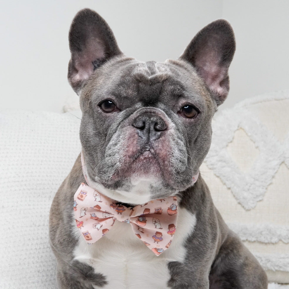 Dog Bow Tie - Coffee Break