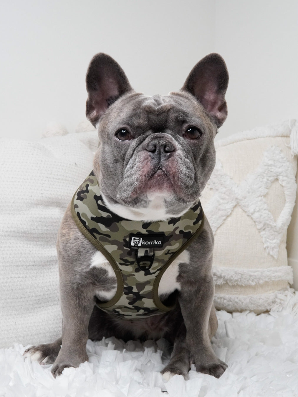 Classic No-Pull Dog Harness - Green Camo