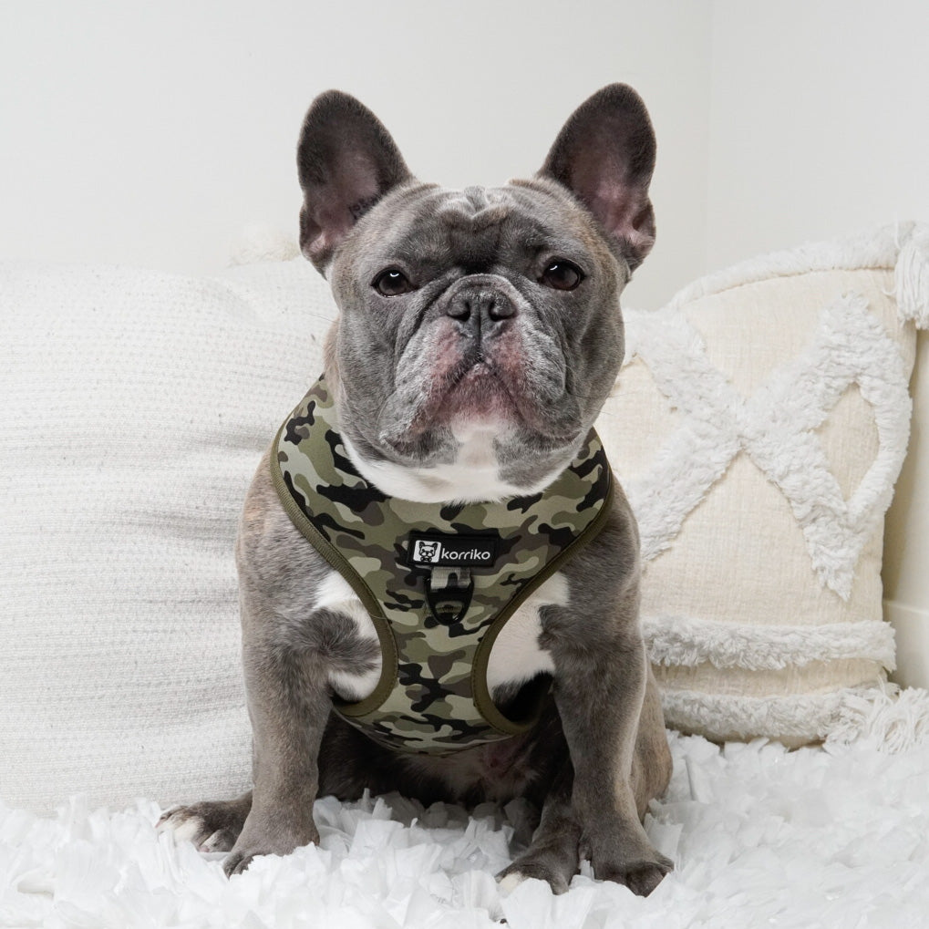 Classic No-Pull Dog Harness - Green Camo