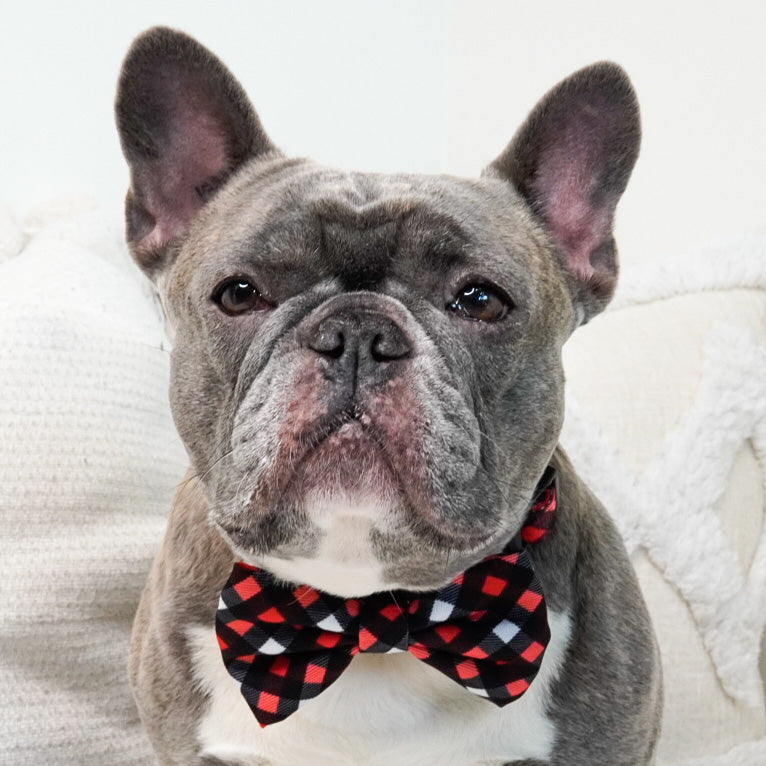 Dog Bow Tie - Red Plaid