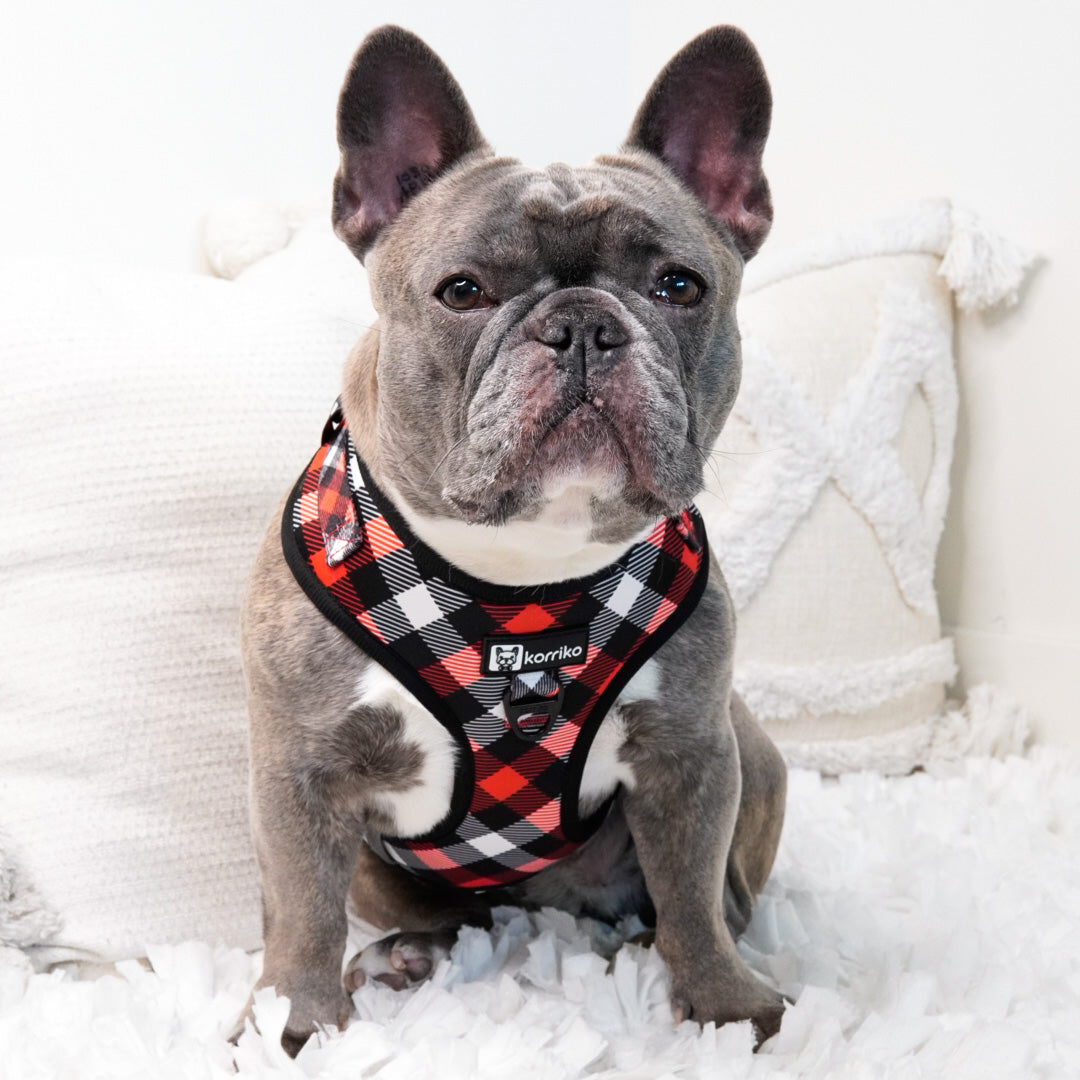 Adjustable Dog Harness - Red Plaid (Final Sale)