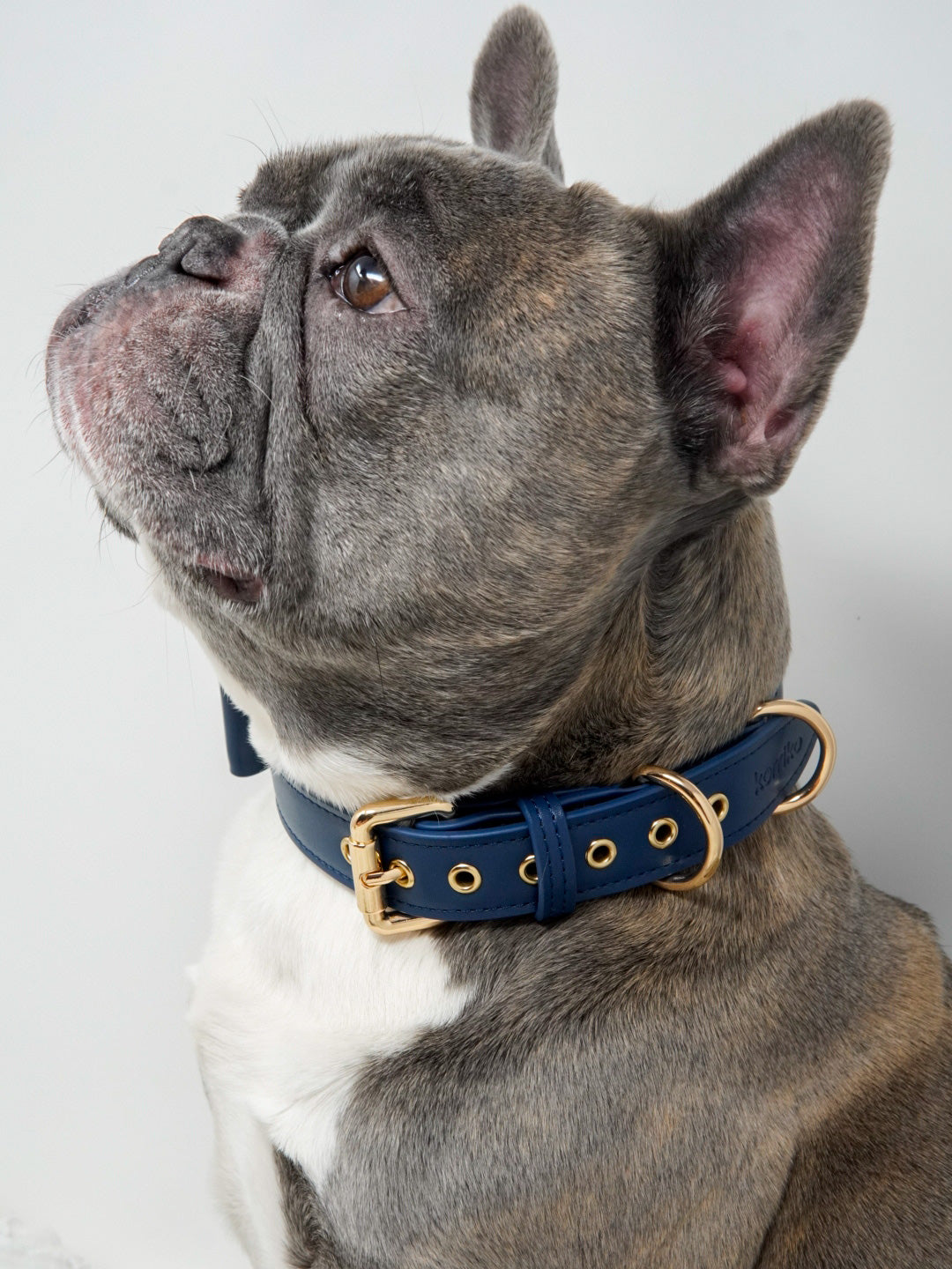 Signature Collar & Leash Set - Navy (Final Sale)